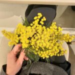 Burçin Terzioğlu Instagram - Çiçeklendik🌺🌼🌸