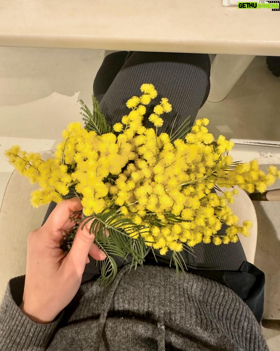 Burçin Terzioğlu Instagram - Çiçeklendik🌺🌼🌸