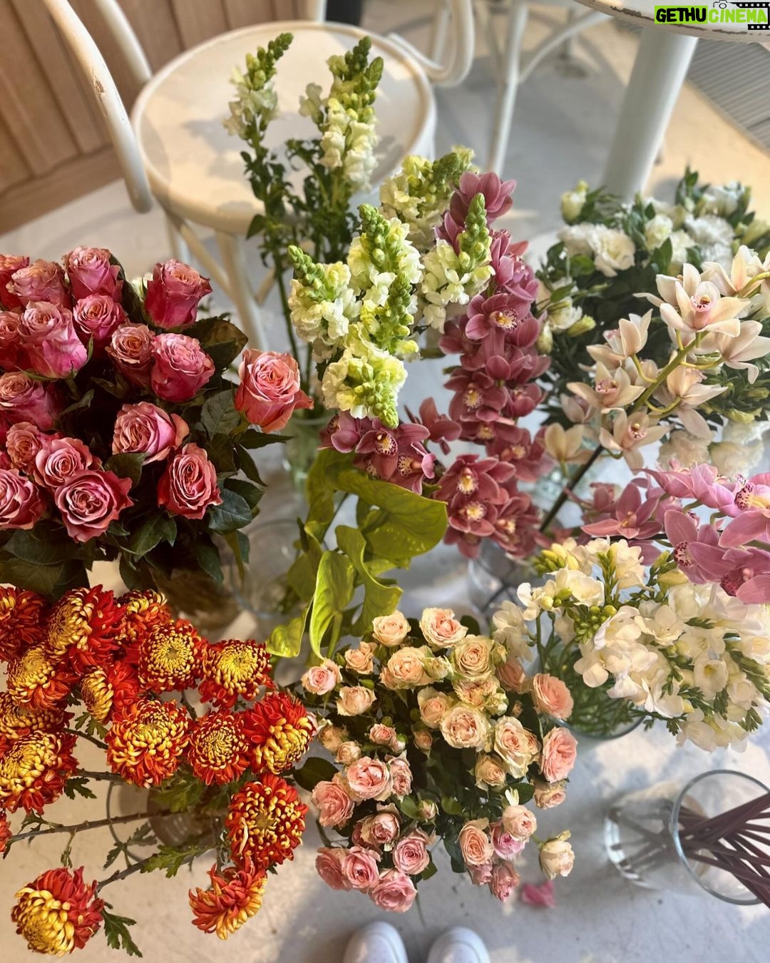 Burçin Terzioğlu Instagram - Çiçeklendik🌺🌼🌸