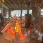 Burçin Terzioğlu Instagram -