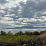 Burçin Terzioğlu Instagram -