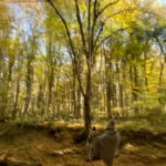 Burçin Terzioğlu Instagram - 🍂