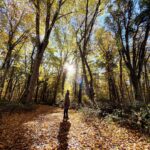 Burçin Terzioğlu Instagram - 🍂