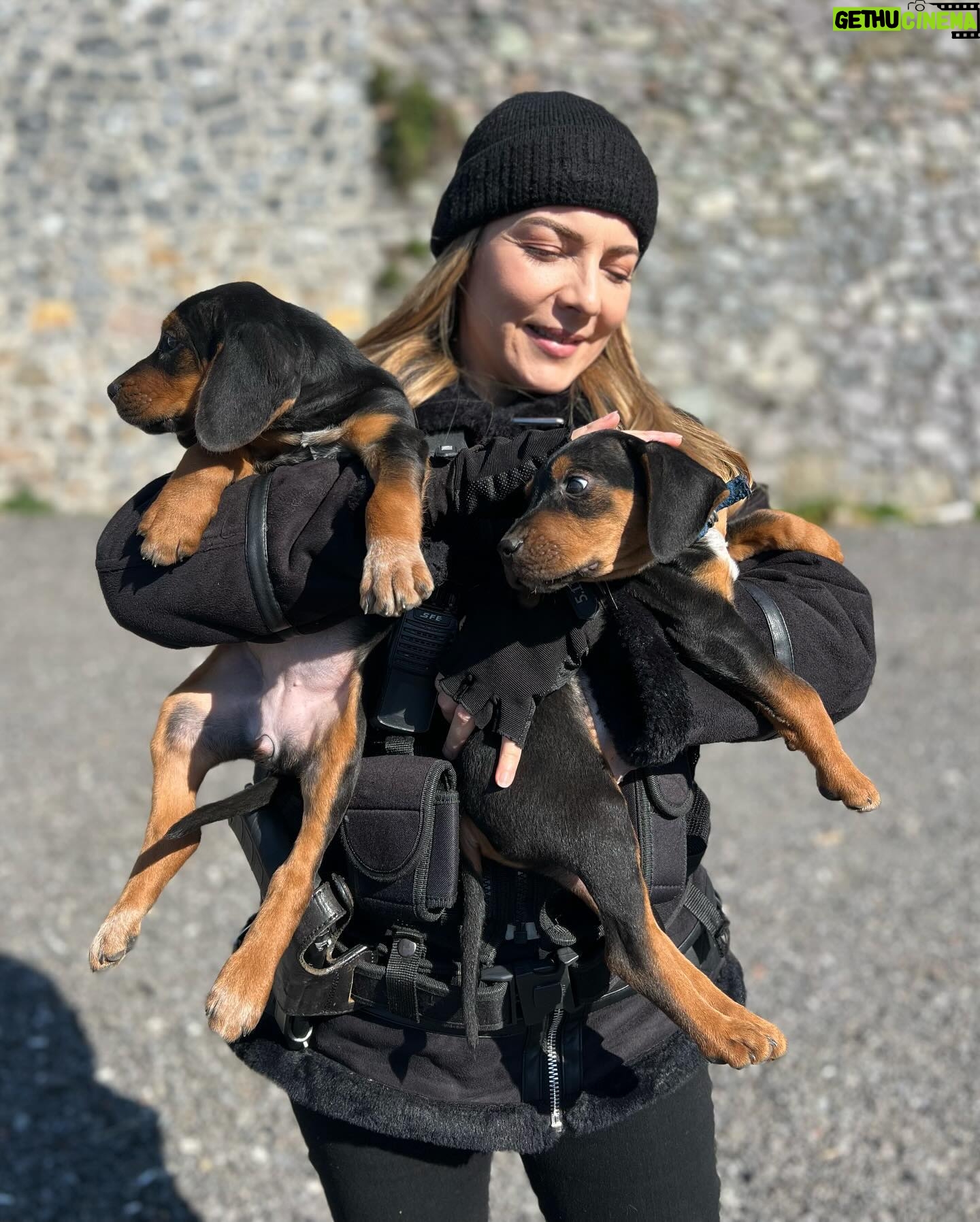 Burcu Kara Instagram - Madem bugün Cuma,bir komiser Seval fotoğrafı bırakalım buraya.👮🏻🚓🎬🐶