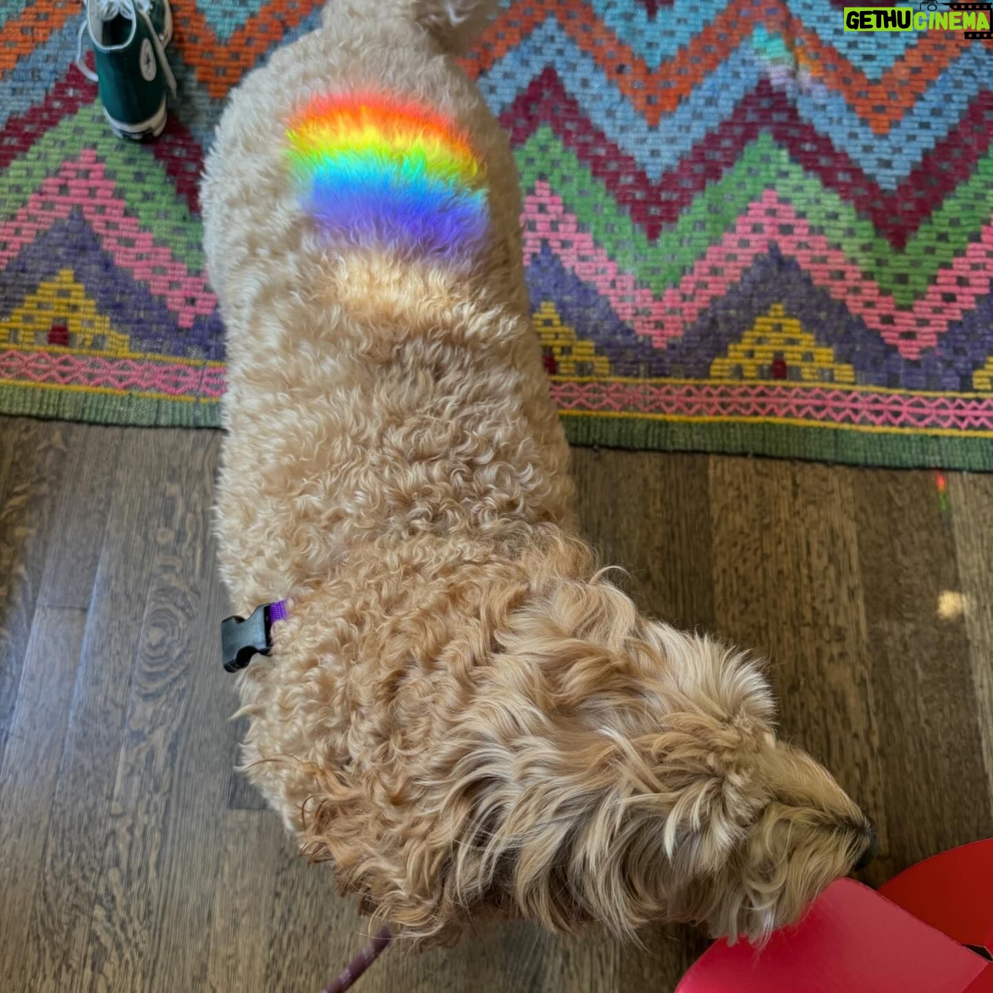Busy Philipps Instagram - 1. rainbow on gina this am 2. my amazing @joannaczechofficial made my skin glow and made sunglasses with @thierrylasry that are ✨ 3. my favorite thing in all the bathrooms in new york can be found in @josephleonardny 4. impromptu breakfast the other day with @jefferyself and cheech 5. a picture my friend Janie took of me when i was 18 in my teenage bedroom before my parents moved out 6. speaking of parents. proof. 7. they were in new york 8. I’m on a text thread with other women (some of whom i’ve never met) but who work in different social justice spaces in a myriad of ways and after the AZ ruling, one of them shared a really lovely story about seeing the doctor who had given her an abortion when she was 20 and being able to thank her for her care and then others joined in with other stories/situations. And this is what i sent. 9. a reminder 10. my best friend Kate and me at 15 on the top of a mountain somewhere in Europe❤️ #tbt