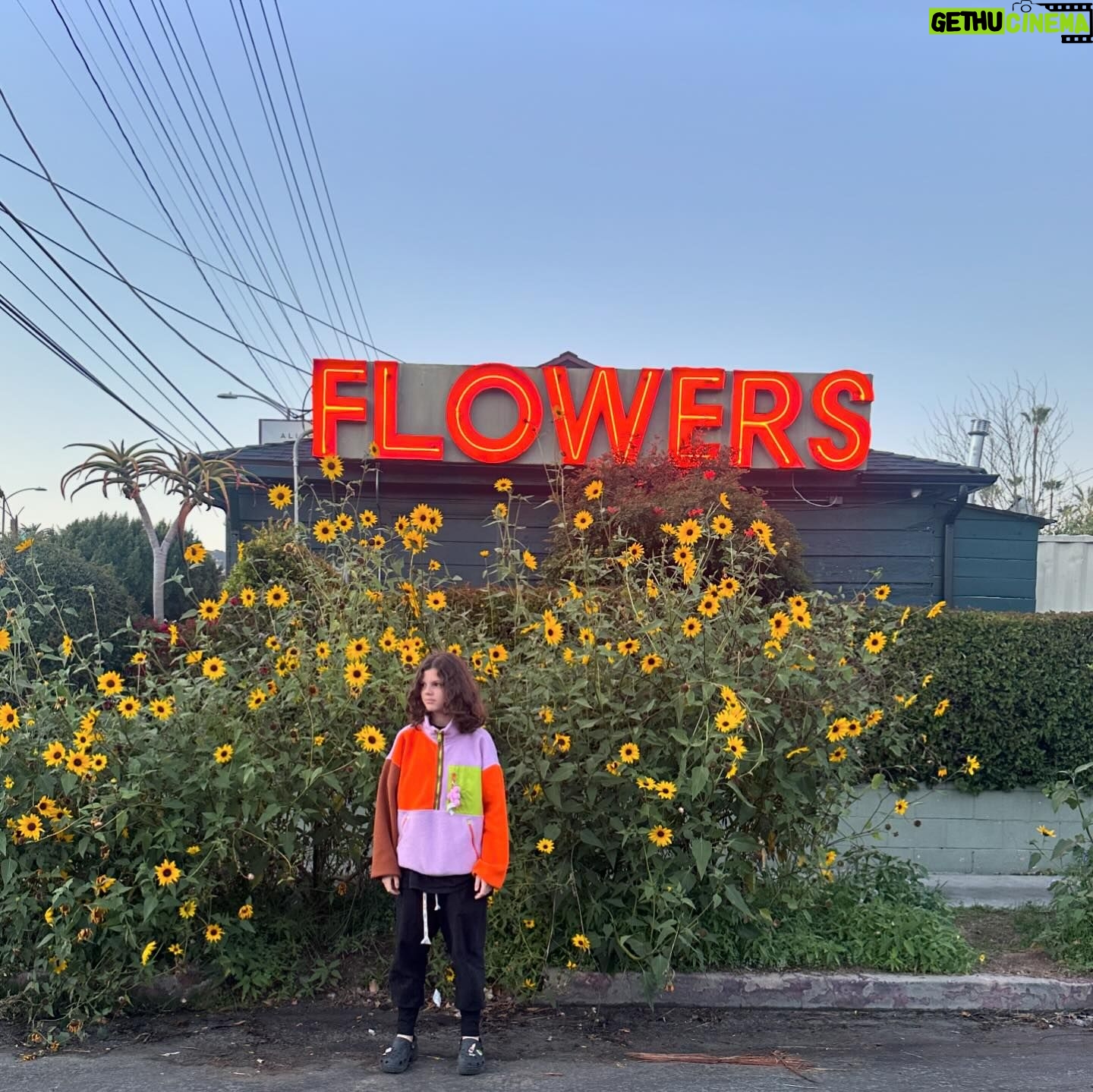 Busy Philipps Instagram - 🌻classic cricks🌻