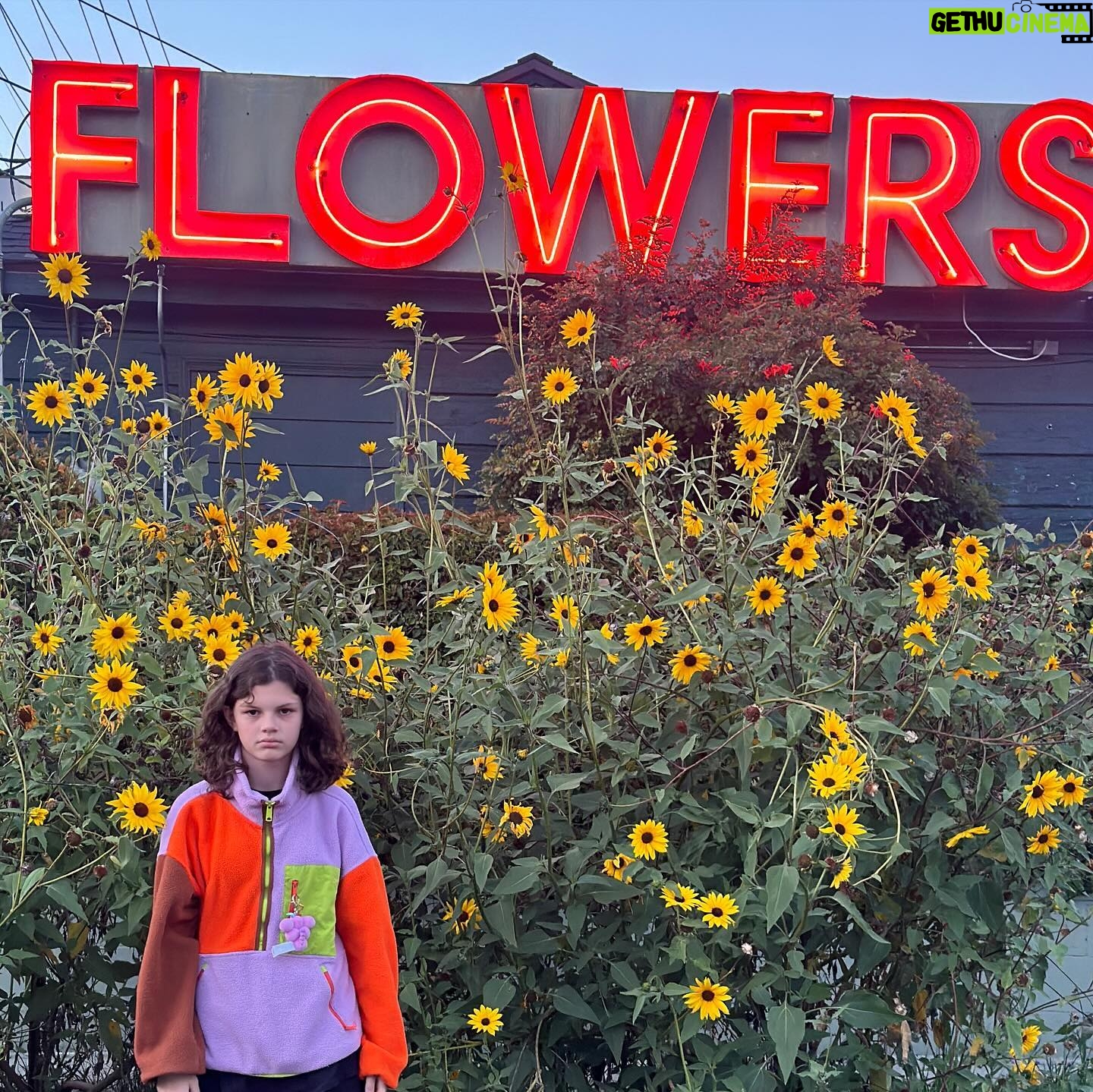 Busy Philipps Instagram - 🌻classic cricks🌻