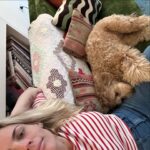 Busy Philipps Instagram – To be fair, most of the time when i post a question on any social media, someone tells me it’s probably perimenopause. JUST GLAD THIS TIME IT WAS UNDENIABLY NOT🤷♀️ Anyway, after all the excitement, Gina spent the rest of the day EXHAUSTED. Wild(end of) times to be alive!