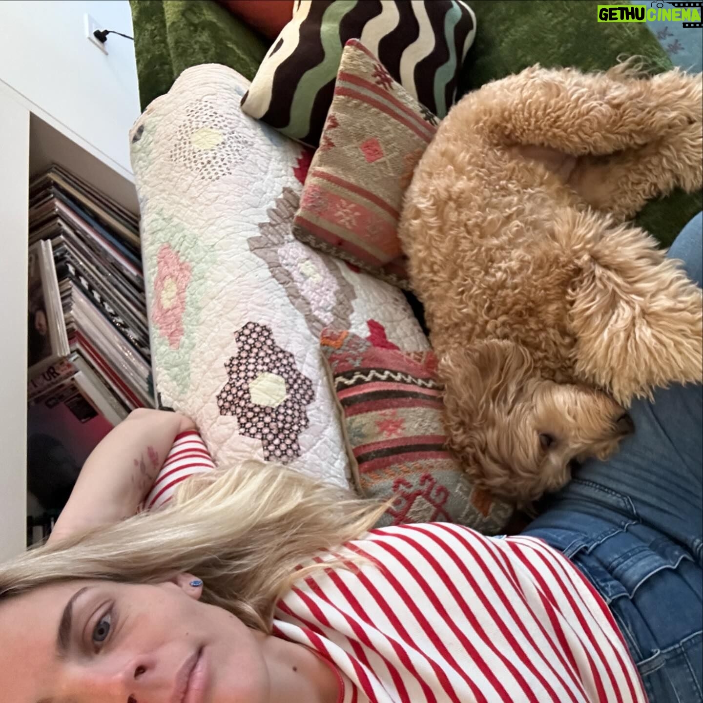 Busy Philipps Instagram - To be fair, most of the time when i post a question on any social media, someone tells me it’s probably perimenopause. JUST GLAD THIS TIME IT WAS UNDENIABLY NOT🤷♀️ Anyway, after all the excitement, Gina spent the rest of the day EXHAUSTED. Wild(end of) times to be alive!
