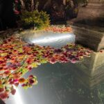 Álvaro Rico Instagram – Mis últimos tres meses