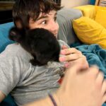 Élodie Gossuin Instagram - 3𝓮̀𝓶𝓮 𝓹𝓪𝓲𝓻𝓮 𝓭𝓮 𝓳𝓾𝓶𝓮𝓪𝓾𝔁 🥰🐰🐰 On a adopté des lapins de Pâques Pac & Man 😂❤️ Si vous leur donniez un prénom ? 😍 { Joséphine & Léonard les ont baptisés Hoppi et Hippo } 🌻 Adoption à la ferme @jardinshautefontaine . Merci à vous et 🙌 pour l’agriculture que vous représentez si bien