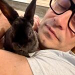 Élodie Gossuin Instagram - 3𝓮̀𝓶𝓮 𝓹𝓪𝓲𝓻𝓮 𝓭𝓮 𝓳𝓾𝓶𝓮𝓪𝓾𝔁 🥰🐰🐰 On a adopté des lapins de Pâques Pac & Man 😂❤️ Si vous leur donniez un prénom ? 😍 { Joséphine & Léonard les ont baptisés Hoppi et Hippo } 🌻 Adoption à la ferme @jardinshautefontaine . Merci à vous et 🙌 pour l’agriculture que vous représentez si bien