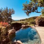 Émilie Fiorelli Instagram - CONCOURS • 2 NUITS, 2 PERSONNES, 1 BERGERIE sur l’île de beauté • 1 petit déjeuner pour 2 • 1 panier des produits de notre ferme • champagne à votre arrivée NATURE préservée & REFUGE de charme, Ici on parle dû MAGIE DU LIEU Le domaine Les Oliviers de Palombaggia***** est en sanctuaire pour tout hôte à la quête d’un lieu ressourçant, on vous transporte dans notre monde, entre maquis et plage de rêve, une expérience unique et authentique de la CORSE La sérénité en art de vivre. SLOW LIVING SURROUNDED BY NATURE _____________________________________ Nous vous invitons à jouer : •🌲Abonnez-vous à @lesoliviers.corsica & notre partenaire @casadipetra.corse  •🌲abonnez vous au compte d´ @emilie_fiorelli_officiel •🌲Aimer ce post •🌲en commentaire mentionnez un/une personne de votre choix, ou celle avec qui vous aimeriez partager ce séjour •🌲partager en story le concours _____________________________________ FIN DES PARTICIPATIONS LE 31 DÉCEMBRE 2023 TIRAGE AU SORT DEBUT JANVIER -Date du séjour Avril-Mai 2024- (photos non contractuelles, la bergerie attribuée dépendra de nos disponibilités) Bonne chance à tous & belles fêtes de fin d’années #collaborationcommerciale