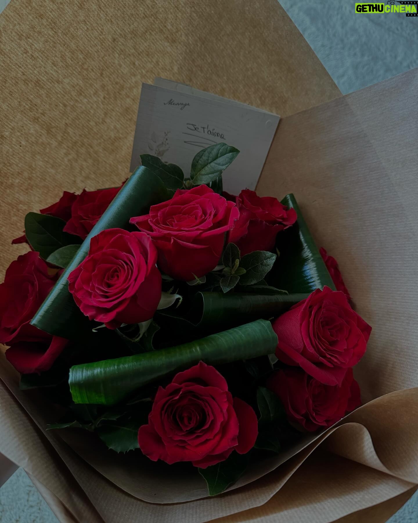 Émilie Fiorelli - 12.2K Likes - Un peu de tout et beaucoup d’amour 🌹
En 5 🤩