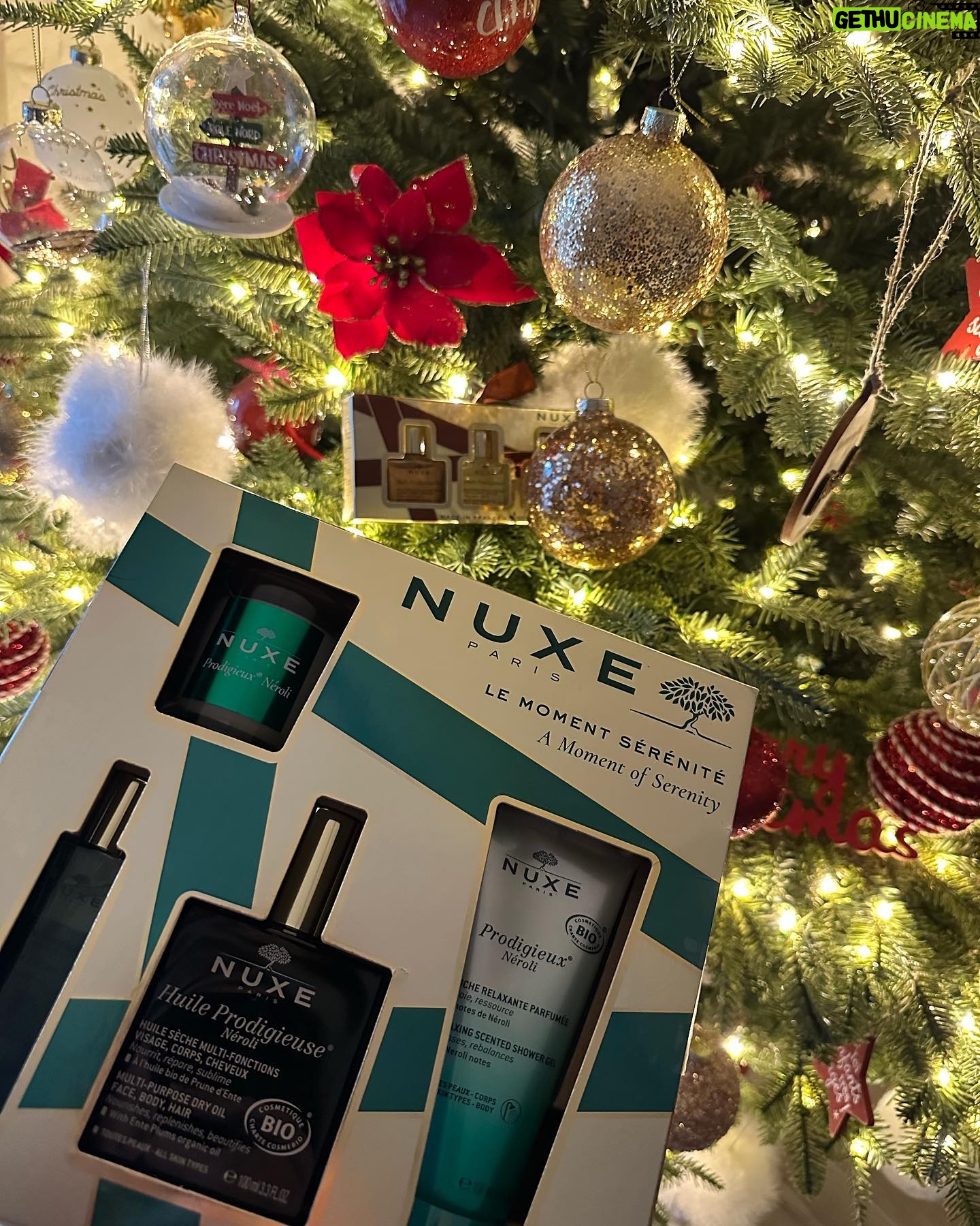 Ămilie Fiorelli Instagram - Concours festif Nuxeđ TERMINĂ Participez pour gagner un magnifique coffret de NoĂ«l de chez @nuxe : un trio de mini huiles, le tout accompagnĂ© du nouveau roll&glow or et dâun Ă©lĂ©gant furoshikiđ Le tirage aura lieu le 31 dĂ©cembre, il vous suffit de participer ici, taguer des amis dans les commentaires, et pourquoi pas partager en Story pour augmenter vos chances! Nâoubliez pas dâĂȘtre abonnĂ© Ă Nuxe et Ă moi-mĂȘme Que la chance soit avec vous! đâš #Concours #CadeauxDeNoĂ«l #collaborationcommerciale