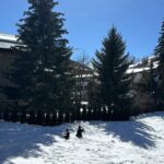 Émilie Fiorelli Instagram - 10 photos de la moitié de notre séjour au ski ⛷️ 1 - Ce décor 😍 2 - Avec notre assistant 🤣👸🏼👸🏽🫅🏾 3 - Premier télésiège avec mes 2 bébés 4 - Si petits 🥹 5 - Je serais bien repartie avec 🐕🫶🏻 6 - La raclette c’est démodée, les sushis au ski 🔥 7 - Ma Starlette 👄 8 - Giuseppe en soirée 🕺🏾(obligée de la poster) 9 - « on est ghetto ahahah sur la moto ahahah » (Farrell a choisi la légende pour la photo 🤷🏼‍♀️) 10 - Mon état après cette semaine au ski et ces 3 semaines de vacances où je donne tout 🤣 Je suis presque hs et non ce n’est pas si facile le ski avec les enfants mais leurs sourires et leurs joies de vivre représentent ma plus grande réussite 🫶🏻