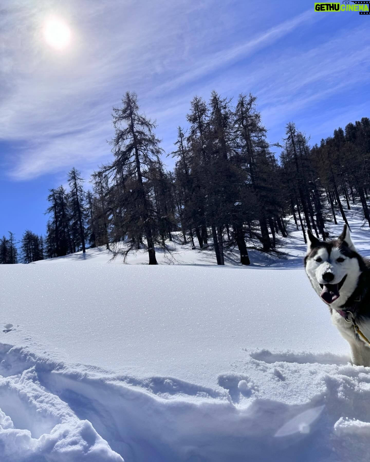 Émilie Fiorelli - 7.5K Likes - 10 photos de la moitié de notre séjour au ski ⛷️
1 - Ce décor 😍
2 - Avec notre assistant 🤣👸🏼👸🏽🫅🏾
3 - Premier télésiège avec mes 2 bébés
4 - Si petits 🥹
5 - Je serais bien repartie avec 🐕🫶🏻
6 - La raclette c’est démodée, les sushis au ski 🔥
7 - Ma Starlette 👄
8 - Giuseppe en soirée 🕺🏾(obligée de la poster)
9 - « on est ghetto ahahah sur la moto ahahah » (Farrell a choisi la légende pour la photo 🤷🏼♀️)
10 - Mon état après cette semaine au ski et ces 3 semaines de vacances où je donne tout 🤣
Je suis presque hs et non ce n’est pas si facile le ski avec les enfants mais leurs sourires et leurs joies de vivre représentent ma plus grande réussite 🫶🏻