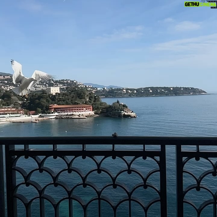 Émilie Nef Naf Instagram - “En suivant le fleuve, on parvient à la mer.” 🌊 🇲🇨🤍
