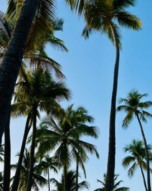 Émilie Nef Naf Instagram - 🏝️🥹☀️🍍💛