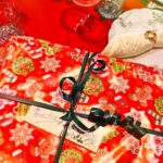 Émilie Nef Naf Instagram – Que les lumières et les étoiles qui illuminent et scintillent autour de nous rentrent dans nos cœurs pour éclairer notre vie. Paix et amour sont mes vœux pour cette fin d’année. Joyeuses fêtes ! 🎄🎁🫶🏼🌹🤍
