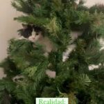 Érika Villalobos Instagram - Me preguntaba cómo decorar mi árbol de Navidad ¿con bolitas? ¿con nieve? ¿guirnaldas? ¿renos? Nooooooo Mira la última tendencia en decoración navideña. 🐈 ¡Decoración con gatos! #SopitaCalicó #GataTricolor