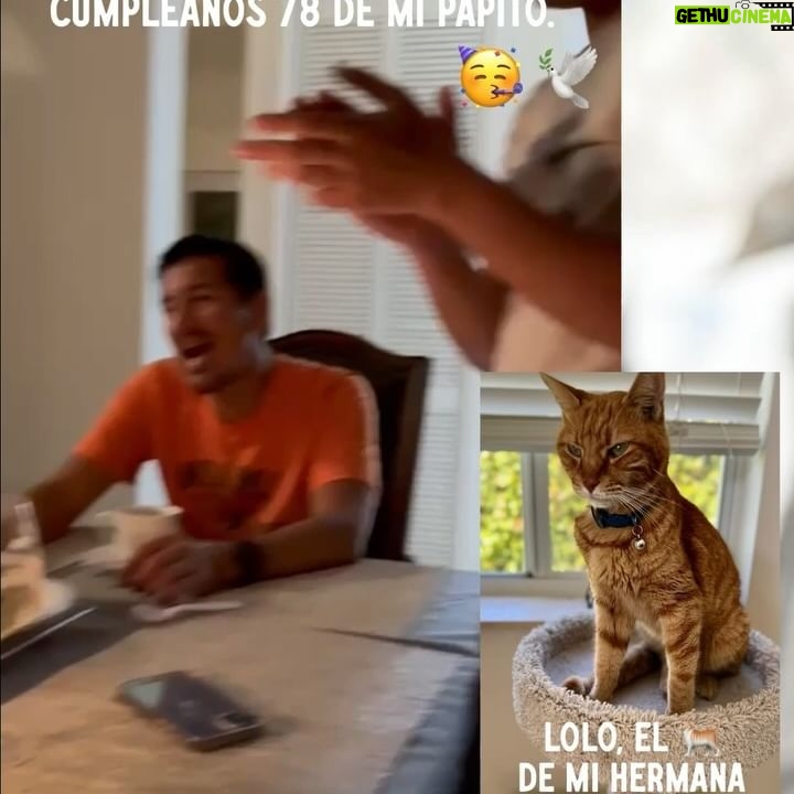 Érika Villalobos Instagram - Un poquito de lo que fue mi viaje a Miami. Música, playa, sol, familia, amor. Ya viene la segunda parte.
