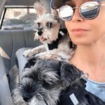 Öykü Serter Instagram - 🐾 pawsengers 🐾 #endofsummer#kids ❤︎