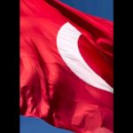 Öykü Serter Instagram – Ey bugünümüzü sağlayan Ulu Atatürk♥️
“Umutsuz durumlar yoktur. Umutsuz insanlar vardır. Ben hiçbir zaman umudumu yitirmedim.”
Atamın izinden giden evlatları olarak umut yitirme hakkına sahip değiliz. 
100.yılımız herhalde diri tutulan umudu ve bir o kadar da öfkesiyle hafızamıza kazınacak. 
Doğadan feyz alarak, yaprağını döken ağaçlar gibi, nabzını düşürüp, kendini yaşam yeniden mümkün olduğunda hayata döndüren canlılar gibi..Bugün belki böyle buruk ama yarın taze bir nefes gibi…Kendimizi al bayrağın kırmızısına, ay ve yıldızın ışığına bürüyüp günlerce kutlayacağımız, hürriyet şarkılarımızı söyleyeceğimiz bayramlara hazırlanıyoruz. Sabırla, inatla, umutla…
Unutmayın bu mahzun yüzünüzü, kırgın kalbinizi, içinizde ezilip kalan coşkunuzu…
Hatırlayın hayretlerle küstürüldüğünüzü ve bugünkü mahcubiyetimizi…
Şanlı şerefli zaferlerimizin haklı gururunu haykıracağımız günlerimiz var bizim…
Kucaklaşan bir millete özlemimiz var bizim…
Cumhuriyet; kökleri sağlam, nice asırlar boyunca göğe yükselip serpilip açılacak, asırlık bir çınar…
Bize bu çınarı, Cumhuriyetimizi armağan eden başta Ulu Önderimiz, 
Başkumandan Gazi Mustafa Kemal Atatürk’ün ve kanıyla canıyla vatanı savunan bu toprakların evlatlarının, adsız kahramanlarının, silah arkadaşlarının, yoldaşlarının ruhu şâd olsun. 
100.yılımız kutlu olsun. 
Cumhuriyetimiz kutlu olsun. 
Atamı bu topraklara bahşeden Rabbime şükürler olsun. 
Vatan sağ, Cumhuriyetimiz ilelebet payidar olsun. 
Ne Mutlu Türküm Diyene!🇹🇷
Sonsuza dek laik ve bağımsız 
Kimsesizlerin kimsesi 
Yaşasın hürriyet 
YAŞASIN CUMHURİYET! 
♥️🇹🇷♥️🇹🇷♥️🇹🇷♥️🇹🇷