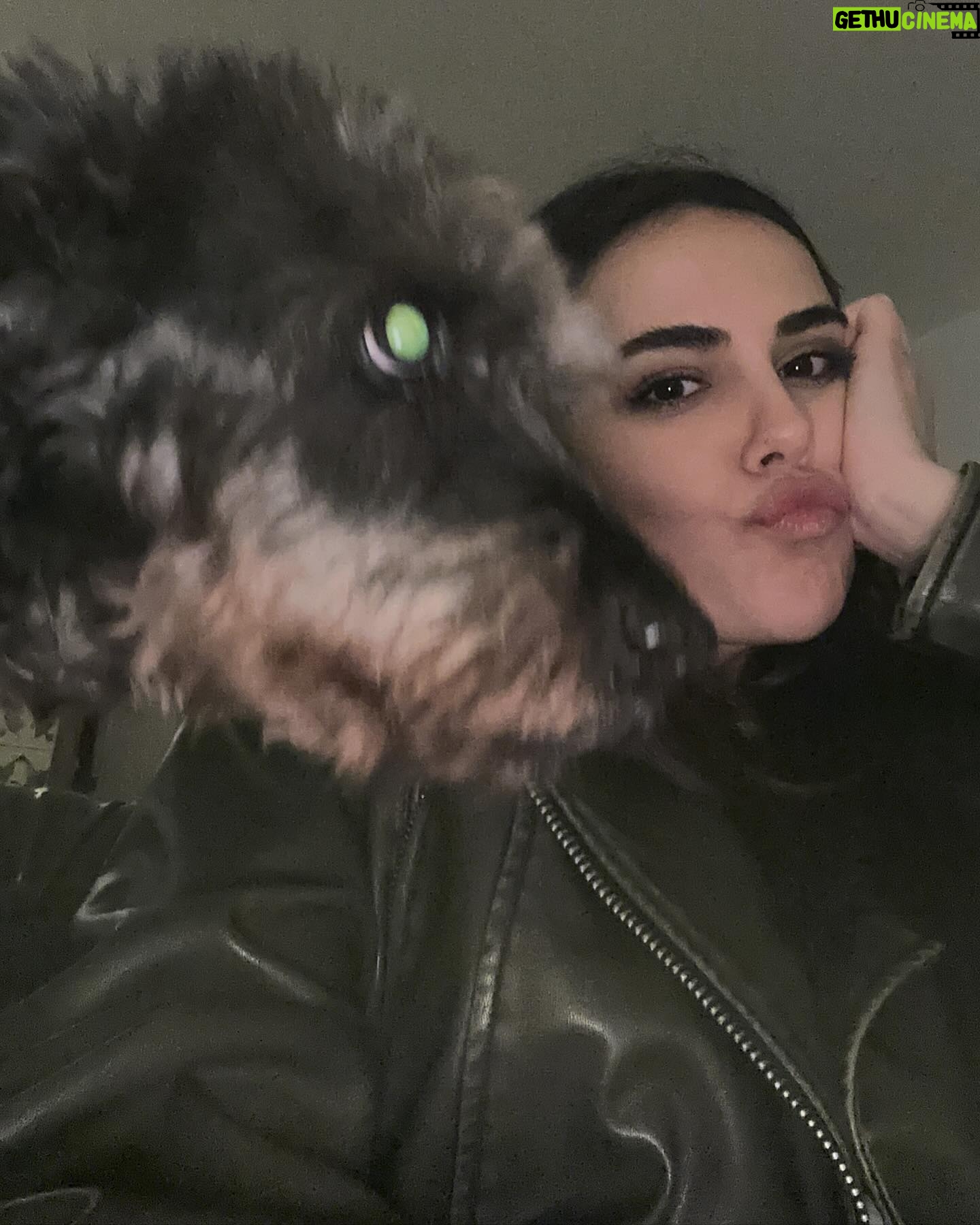 Özgü Kaya Instagram - kapıdan baktıran bir Mart #dump 🫐