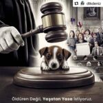 Özge Özder Instagram – #Repost @dtkdeniz with @use.repost
・・・
Hiç bir insana zarar gelmeden ve hiç bir canlıyı öldürmeden çözüm üretmek mümkündür. Yapılması gereken; mevcut yasayı olduğu gibi uygulamak, bu çerçevede düzenleme yapmak ve  eğitim ile ortadaki yanlış sonuçları elbirliği ile kaldırmaktır. 

Devletimizin bu konuda sağduyu ile sahadan edineceği doğru bilgilendirmeler ışığında, yasalara, ahlaka vicdana ve dine uygun bir çözüm bulacağına dair inancımız sonsuzdur.
#devletöldürmezyaşatır