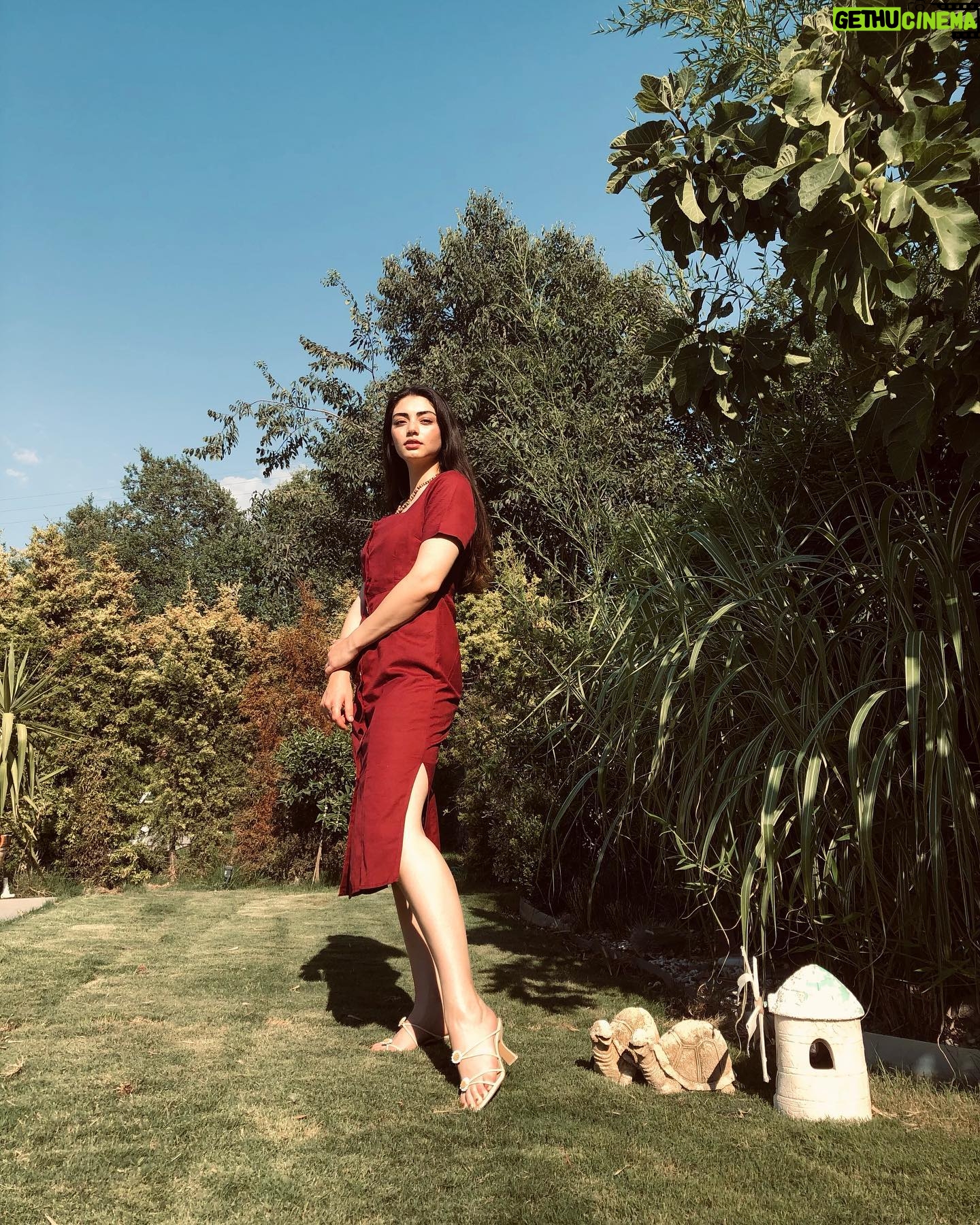 Özge Törer - 336.3K Likes - 🐢