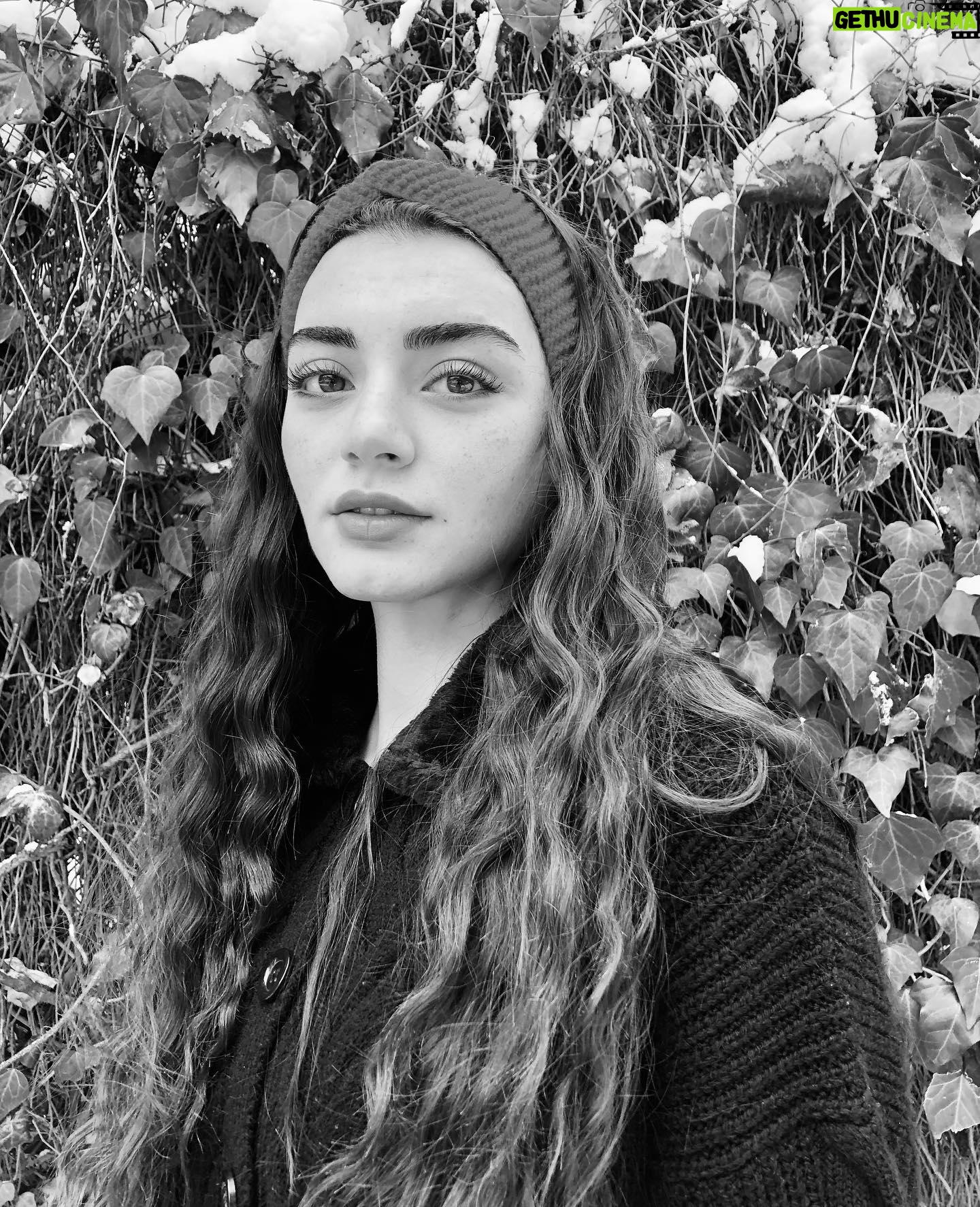 Özge Törer - 381.8K Likes -