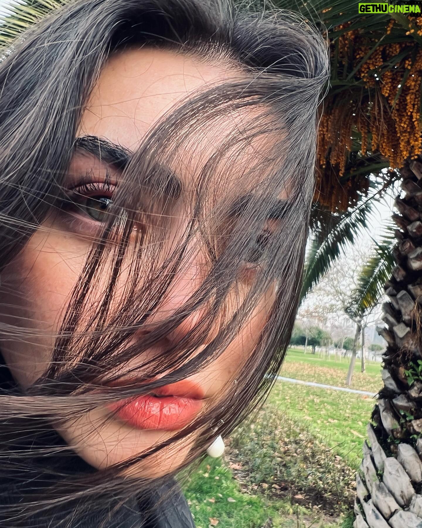 Özge Törer - 353.2K Likes - 🌴