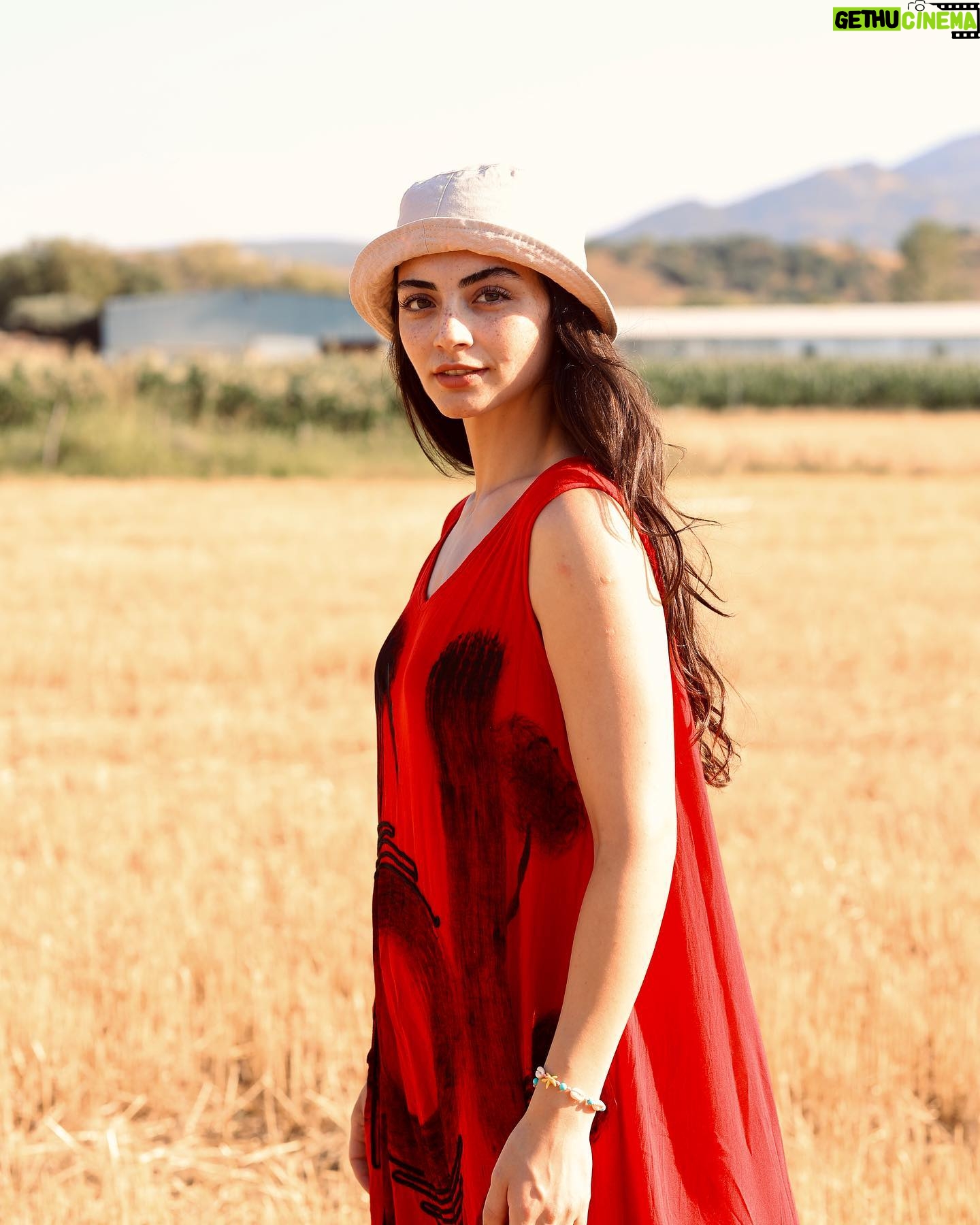 Özge Törer - 409.1K Likes - 👒