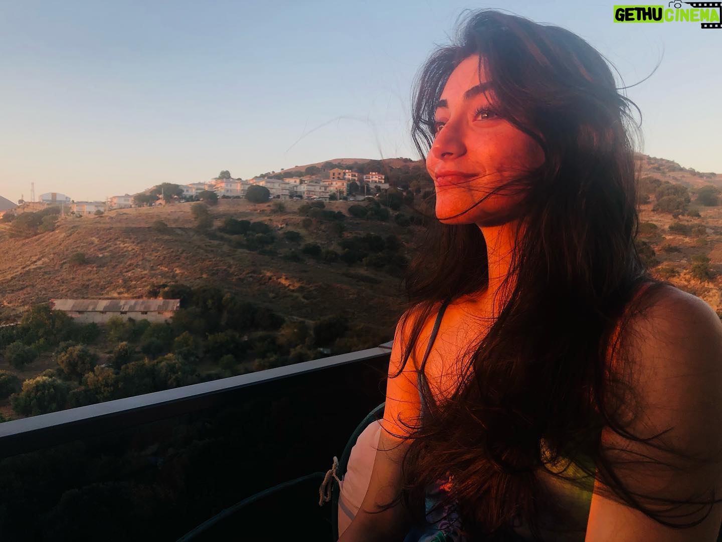 Özge Törer - 313.3K Likes - ☕️