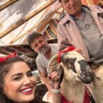 Özlem Balcı Instagram - Bu anlamlı günde abimle birlikte babama hediye olarak o çok istediği Koç’u aldık.Mutluluğuna kurban olduğum Babacığım ve Başta aziz şehitlerimizin kıymetli babaları olmak üzere, büyük Türk milletinin asil evlatları olan Ülkü Ocaklı her genci evladı bilen Bilge Liderimiz, saygıdeğer büyüğümüz Sn. Devlet Bahçeli Beyefendi'nin şahsında tüm babalarımızın ve kendi babam Mehmet Balcı’nın #BabalarGünü kutlu olsun🇹🇷🇹🇷🇹🇷