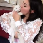 Özlem Balcı Instagram – Kedi size “muhtaç” görünse de sevginin ne olduğunu en usturuplu anlatan bağımsız canlı. Bir kediyi uzun süre sevmeden ve istikrarlı sevgisine nail olmadan sevgi bilgisinde çok da iddialı olmamak lazım🧿🤍