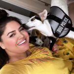 Özlem Balcı Instagram - Kehribar Türkân🧿🐶