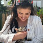 Özlem Balcı Instagram - Sokakta yaşayan tüm canlıların yalnızlığını hissedip; sahipsiz olan sessiz kulların sesi olacağıma ve hayvan haklarını savunacağıma SÖZ VERİYORUM! #muğlanınözlemi #mhp #yörükkızı #sözveriyorum #sokakhayvanları #elelemeclise #hayditürkiye #sırasende 🇹🇷🇹🇷🇹🇷