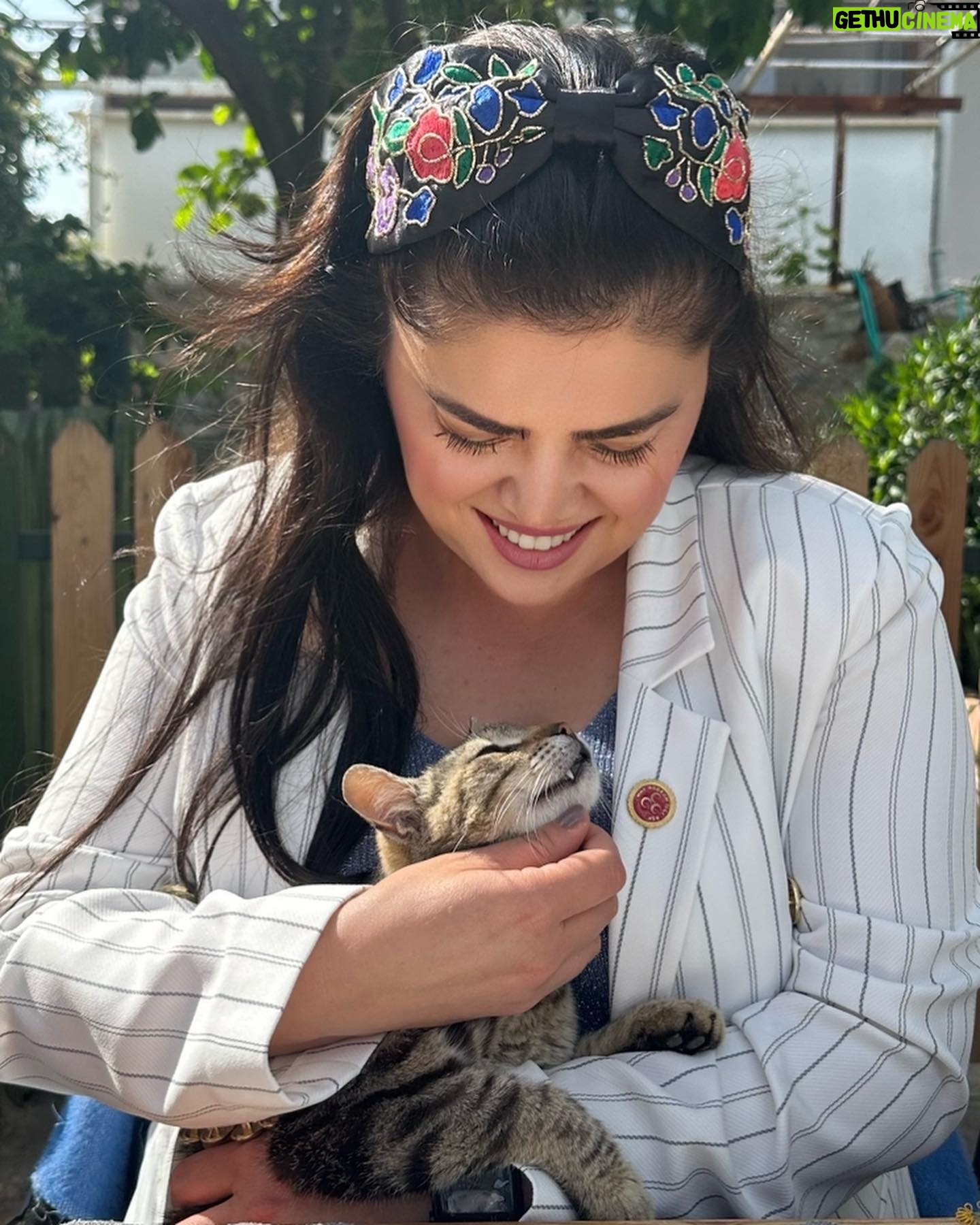 Özlem Balcı - 104.5K Likes - Sokakta yaşayan tüm canlıların yalnızlığını hissedip; sahipsiz olan sessiz kulların sesi olacağıma ve hayvan haklarını savunacağıma SÖZ VERİYORUM!
#muğlanınözlemi #mhp #yörükkızı #sözveriyorum #sokakhayvanları #elelemeclise #hayditürkiye #sırasende 🇹🇷🇹🇷🇹🇷