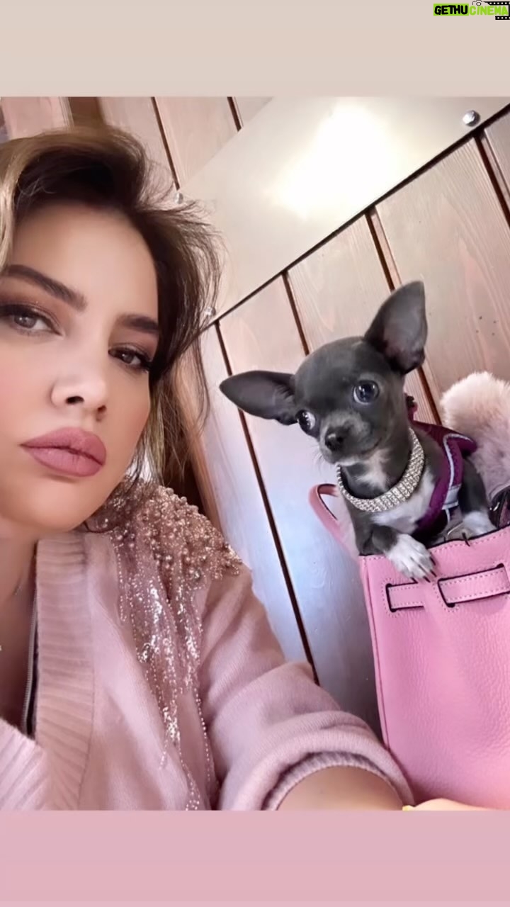 Özlem Balcı Instagram - Kelle paça çorbası içiliyormuş da kokusu duyulmuş gibi🤓🧿