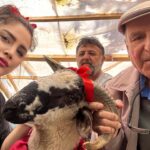 Özlem Balcı Instagram – Bu anlamlı günde abimle birlikte babama hediye olarak o çok istediği Koç’u aldık.Mutluluğuna kurban olduğum Babacığım ve Başta aziz şehitlerimizin kıymetli babaları olmak üzere, büyük Türk milletinin asil evlatları olan Ülkü Ocaklı her genci evladı bilen Bilge Liderimiz, saygıdeğer büyüğümüz Sn. Devlet Bahçeli Beyefendi’nin şahsında tüm babalarımızın ve kendi babam Mehmet Balcı’nın  #BabalarGünü kutlu olsun🇹🇷🇹🇷🇹🇷