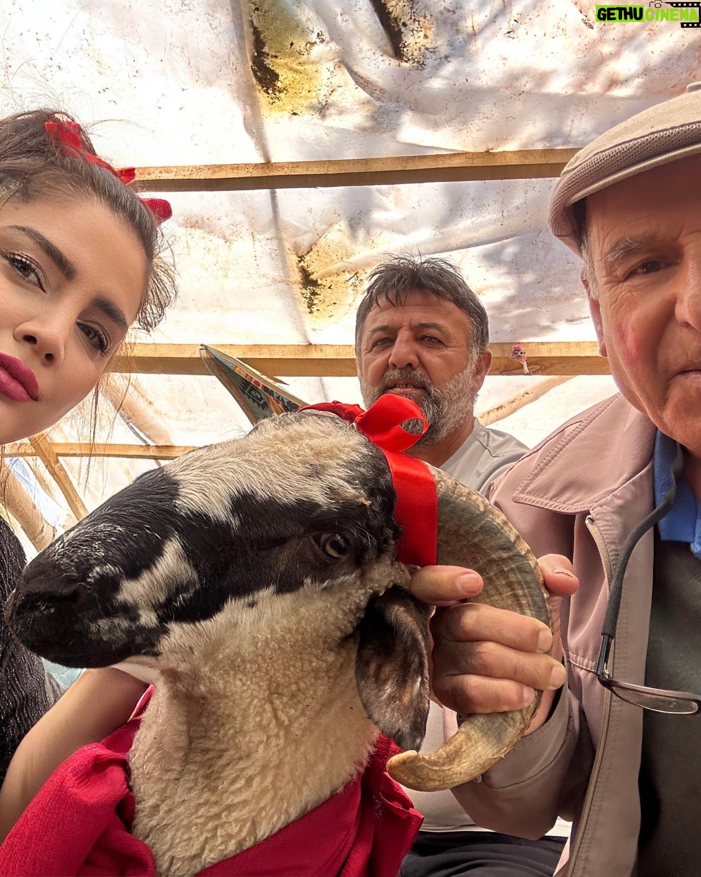 Özlem Balcı Instagram - Bu anlamlı günde abimle birlikte babama hediye olarak o çok istediği Koç’u aldık.Mutluluğuna kurban olduğum Babacığım ve Başta aziz şehitlerimizin kıymetli babaları olmak üzere, büyük Türk milletinin asil evlatları olan Ülkü Ocaklı her genci evladı bilen Bilge Liderimiz, saygıdeğer büyüğümüz Sn. Devlet Bahçeli Beyefendi'nin şahsında tüm babalarımızın ve kendi babam Mehmet Balcı’nın #BabalarGünü kutlu olsun🇹🇷🇹🇷🇹🇷