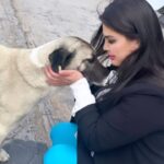 Özlem Balcı Instagram - Sevgiyle yaklaştığınız her canlıdan alacağınız karşılık yine sevgidir. Nefreti değil sevgiyi büyütün . Kaosu değil çözümü büyütün . Sokak hayvanları mahallelerin sokakların süsüdür . Suçlu ve bedel ödemesi gereken onlar değildir ! Gücüm yettiğince elimden geldiğince sizleri koruyacağıma söz veriyorum🤍🧿💓