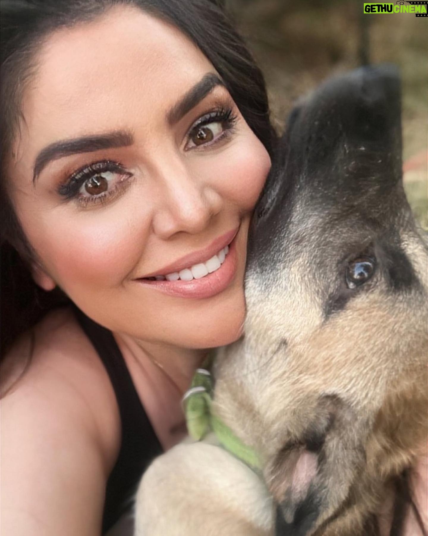 Özlem Balcı Instagram - Kızım Asena ile büyük aşkımız🐶🧿