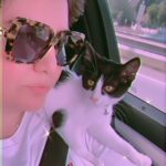 Özlem Balcı Instagram - Adını ‘Kahraman’ koydum🐈‍⬛ Hayatımı kurtardın oğlum👍🌹 Sen de insansın dostum🐱