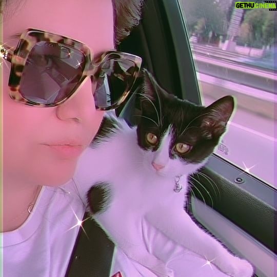 Özlem Balcı Instagram - Adını ‘Kahraman’ koydum🐈⬛ Hayatımı kurtardın oğlum👍🌹 Sen de insansın dostum🐱