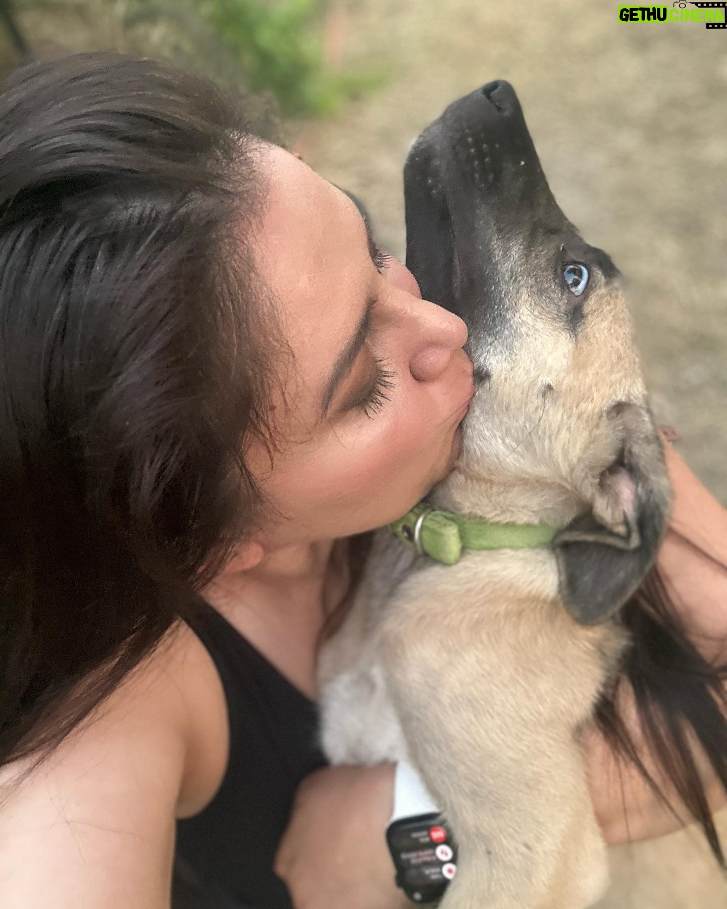 Özlem Balcı Instagram - Kızım Asena ile büyük aşkımız🐶🧿