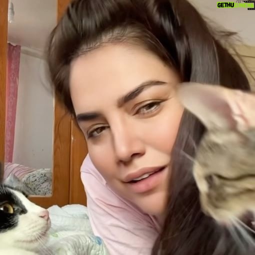 Özlem Balcı Instagram - Bazen dertleşmek istersin, Bazen kaybolmak, Her türküde kendine ait bir şey bulmak, İnsan anlatamadığı kadar anlaşılmak ister.. #kedicandır 🧿🥰