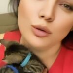 Özlem Balcı Instagram - Bu iki kardeşin hikayesi çok üzücü ve vicdanım onları ölüme terketmeye elvermedi😟 Yolda anneleri ve diğer kardeşlerine araba çarpmış ölmüş ve bu iki bebeği ölenlerin başında beklerken buldum🥹 Ölüyü geri getirmeye gücümüz yetmez ama kalanlara sahip çıkıp koruyup kurtarmak imkanı varken Rabbimin sessiz kullarına kimse arkasını dönüp gitmemeli😞 Beni seven takip eden herkesten bir ricam var sokakta yaşayan bir can a bile yuva olursanız benim kalbimi kazanırsınız haydi herkes bir hayvanı kurtarsa iki buçuk milyon sokak hayvanı kurtulacaktır belki 🙏🌹 Sizlere güveniyorum haydi onlara birlikte sahip çıkalım🐱🐶